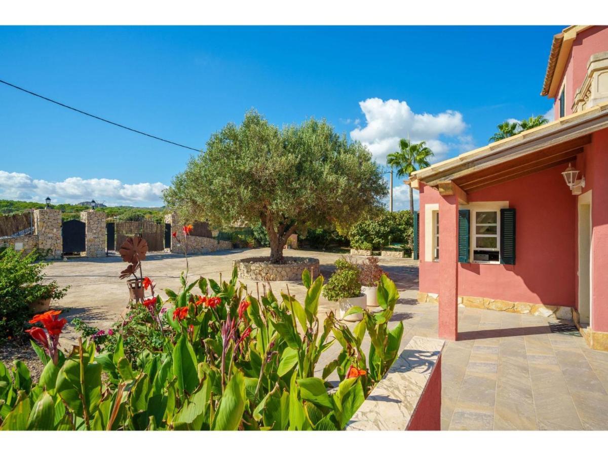 Vakantiehuis Sa Olivera - Alc160 By Interhome *